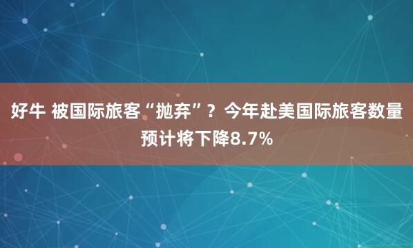 好牛 被国际旅客“抛弃”？今年赴美国际旅客数量预计将下降8.7%