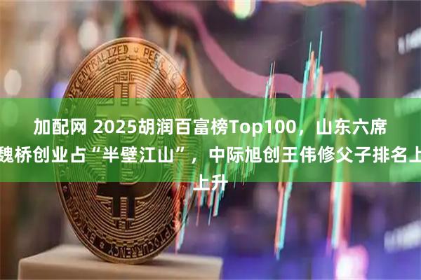 加配网 2025胡润百富榜Top100,山东六席!魏桥创业占“半壁江山”,中际旭创王伟修父子排名上升