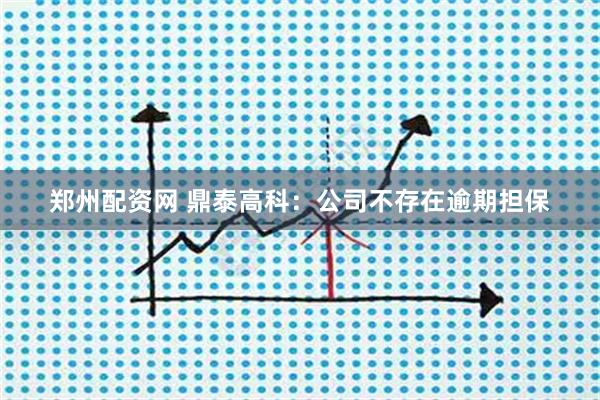 郑州配资网 鼎泰高科：公司不存在逾期担保
