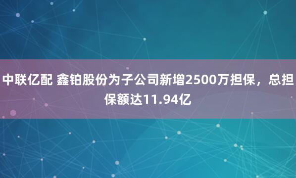 中联亿配 鑫铂股份为子公司新增2500万担保，总担保额达11.94亿