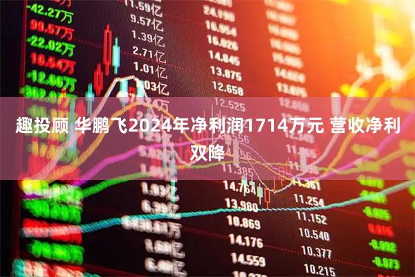 趣投顾 华鹏飞2024年净利润1714万元 营收净利双降